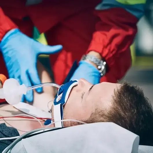 475438be37910f6bf5e2a6cf96cc069b2155cf72 4745x3163