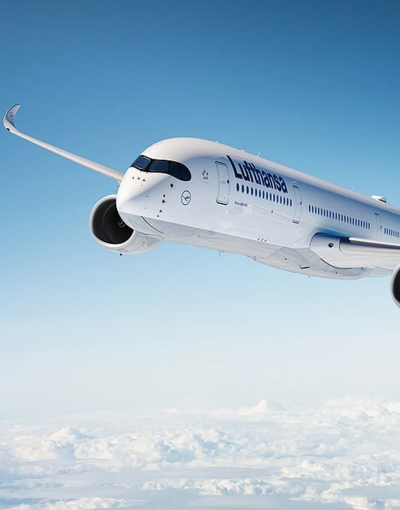 Medizinisches Begleitpersonal