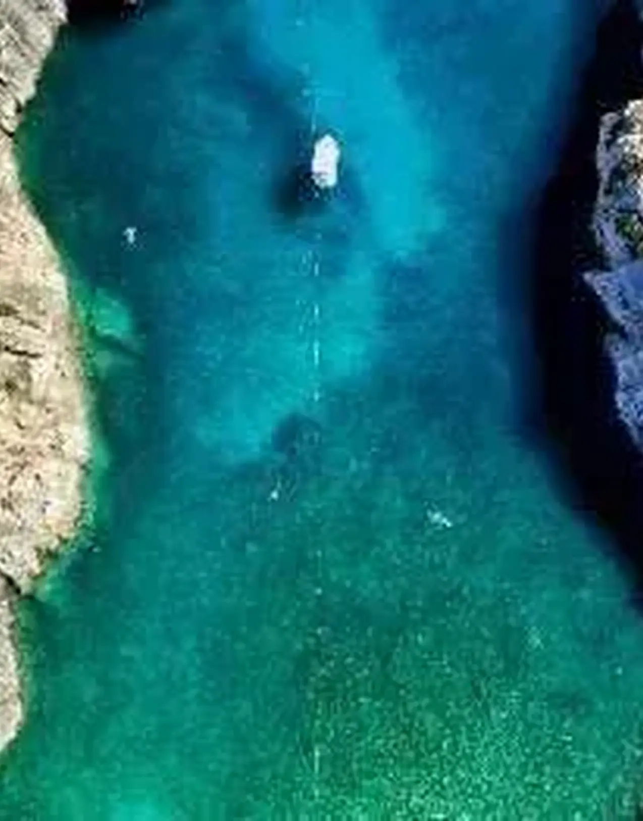 Repatriation stories malta to london