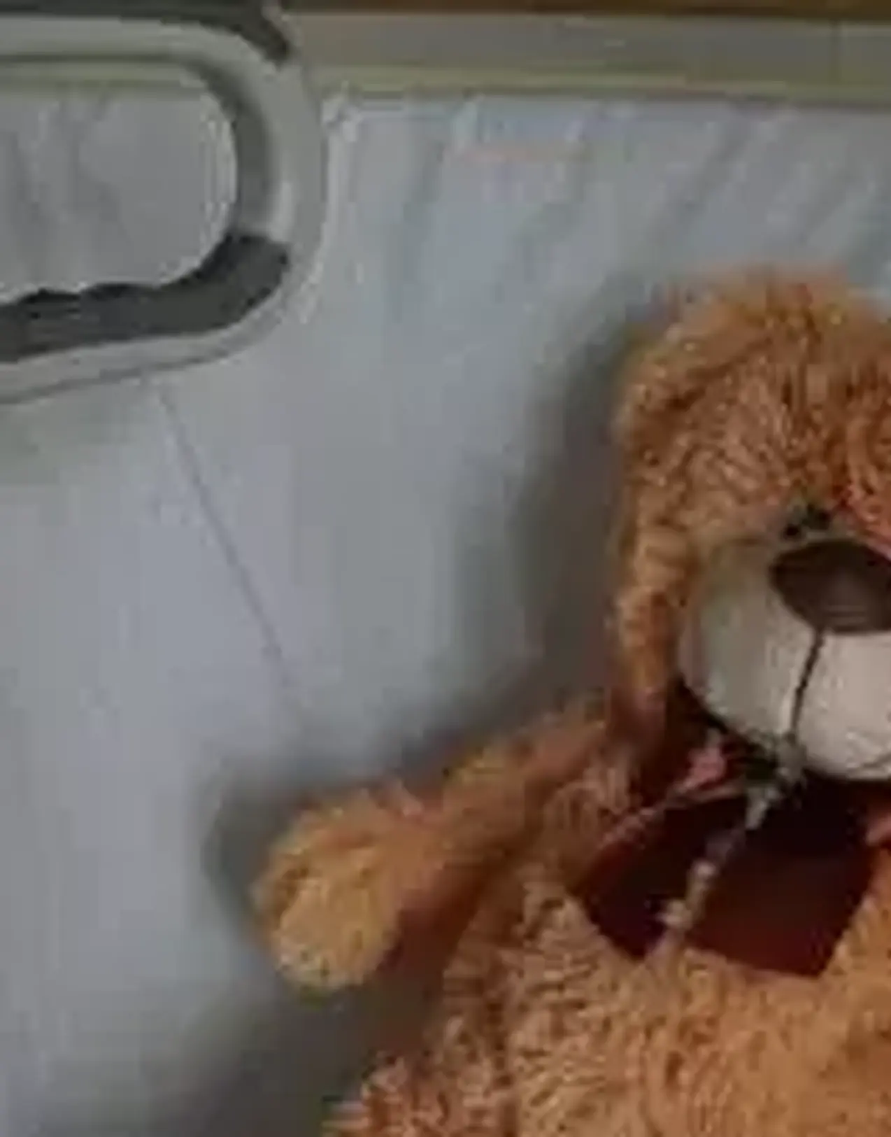 Medical flights for children