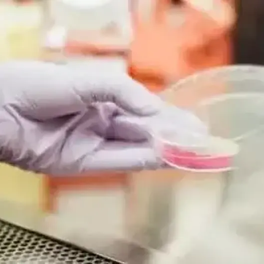 Can i fly on a regular flight